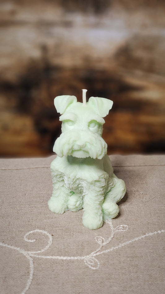 Schnauzer
