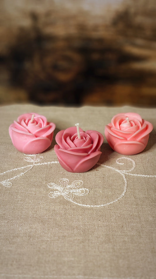 Rosa